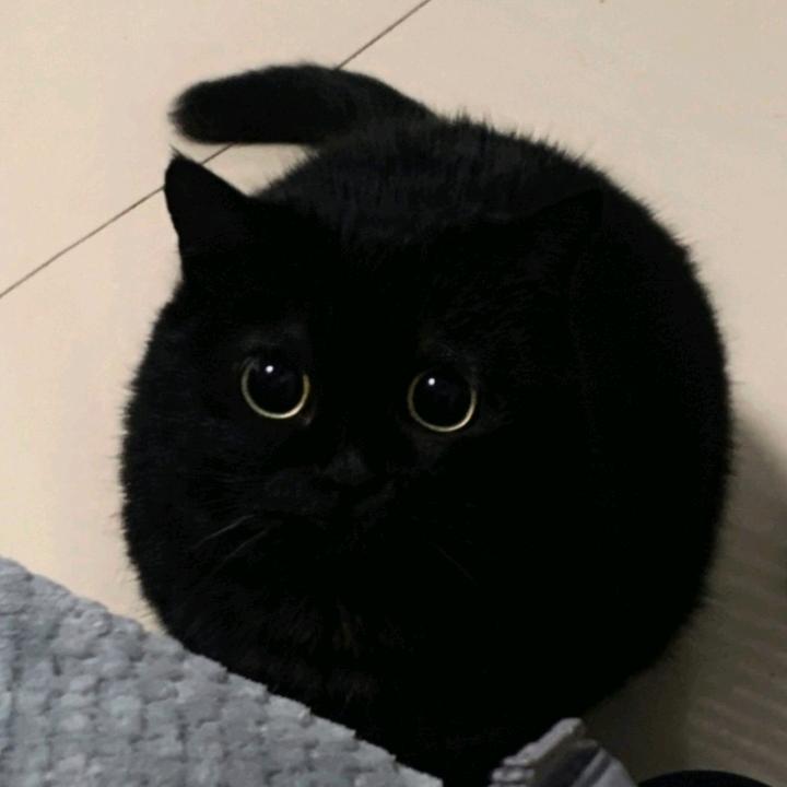 三五