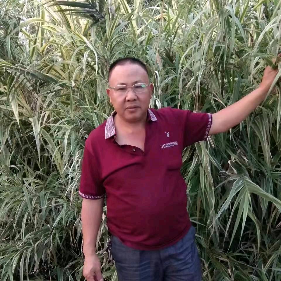 用户6280048230325