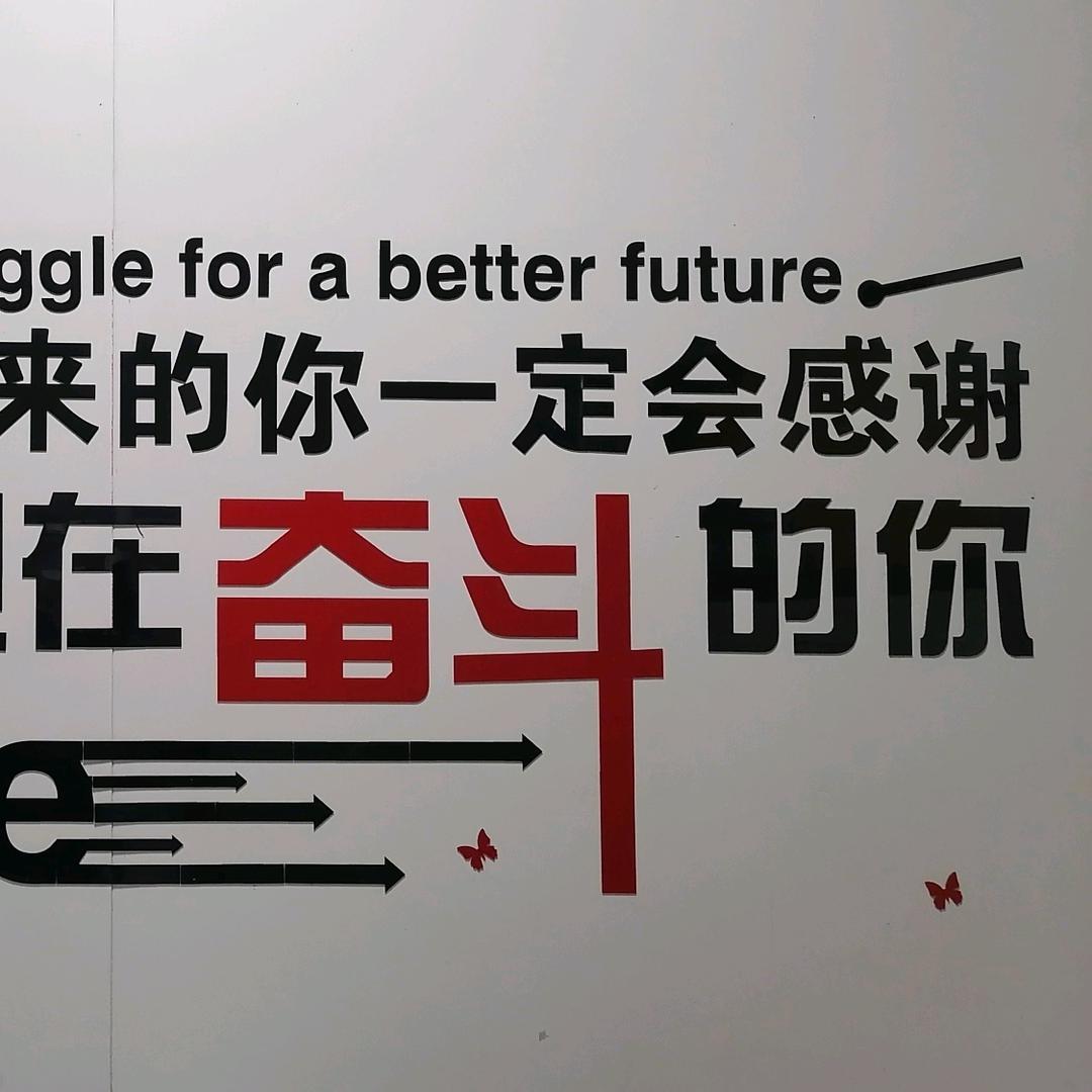 三观