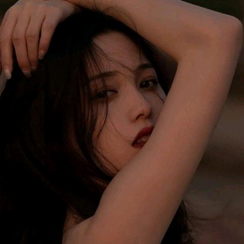林辞头像