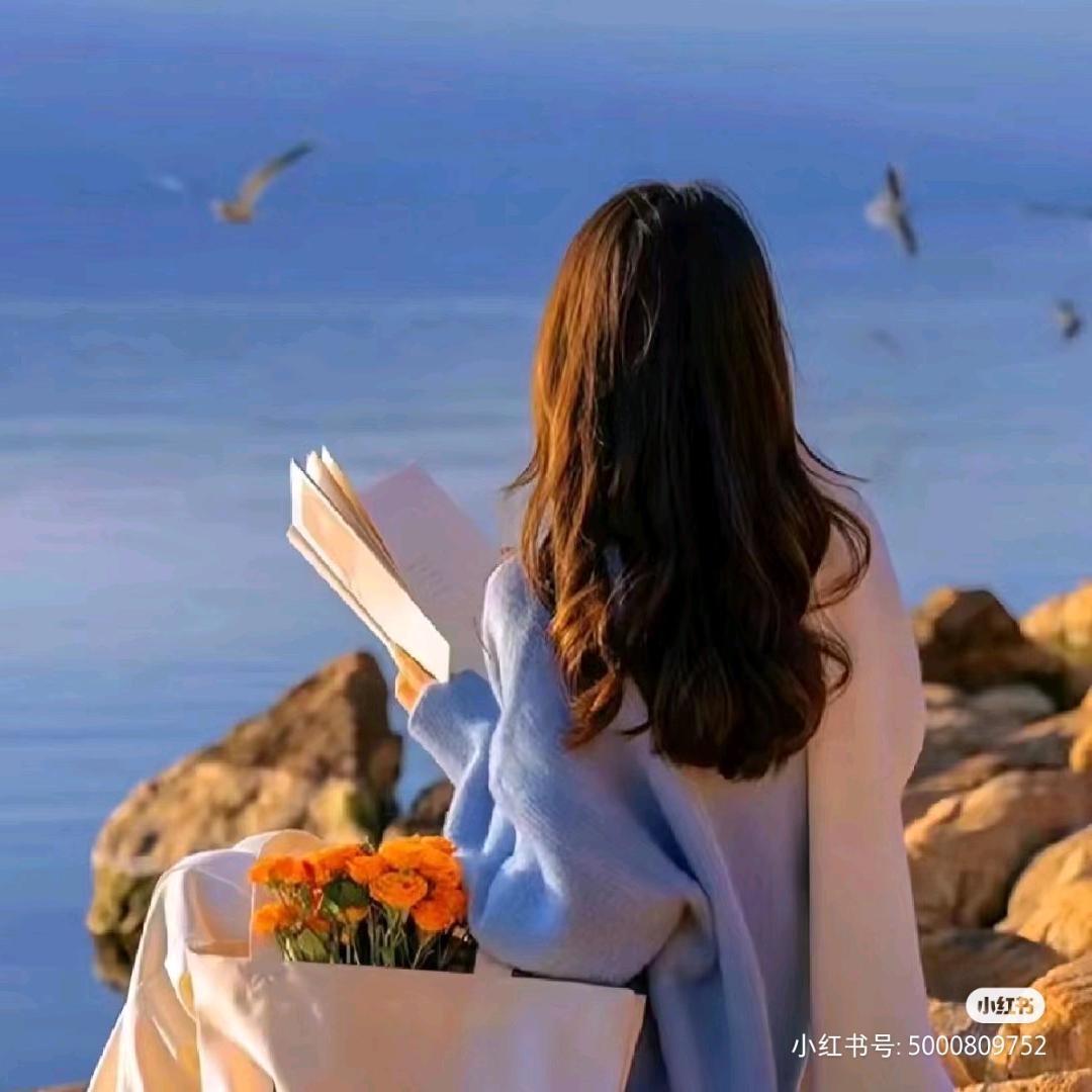 宁静的夏天