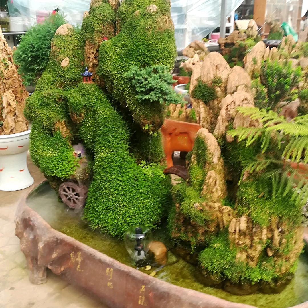 小草