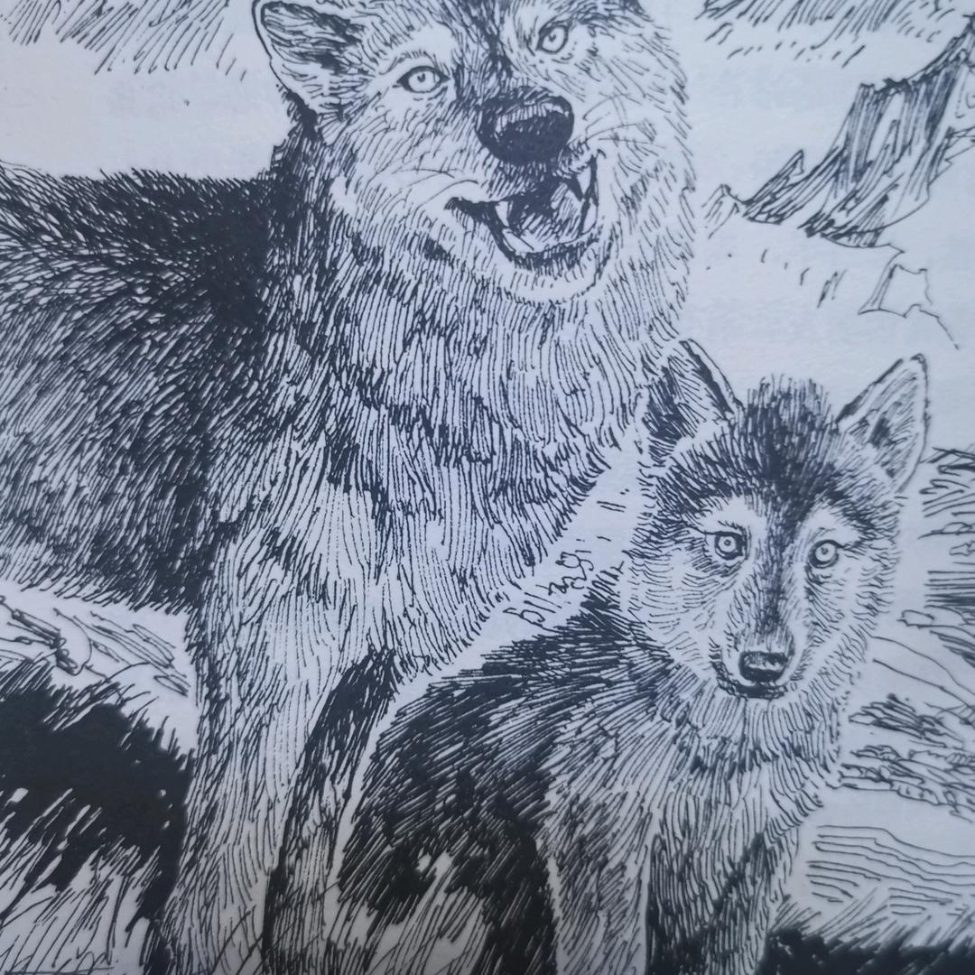 狼王