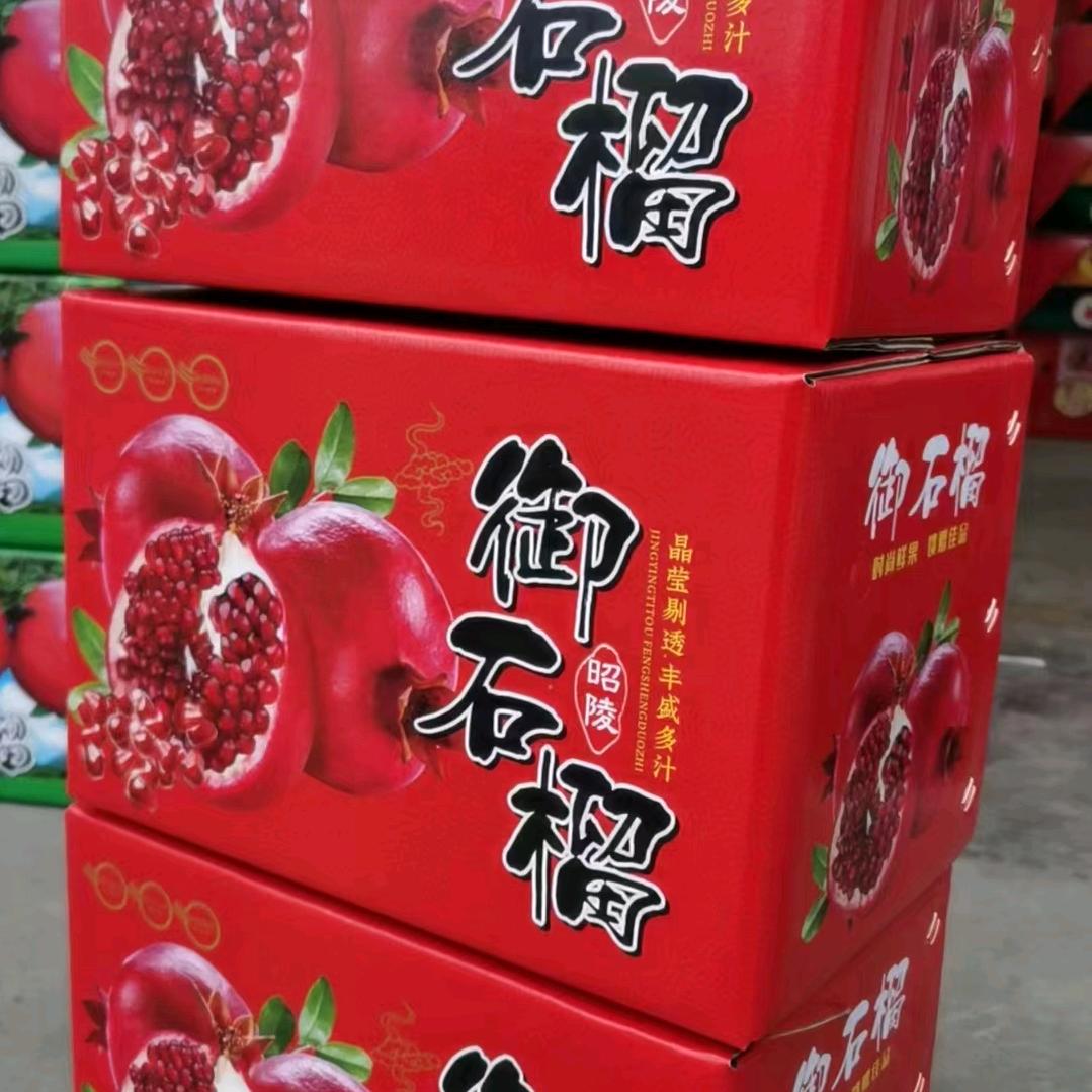 皮夹克赵姐（短视频)