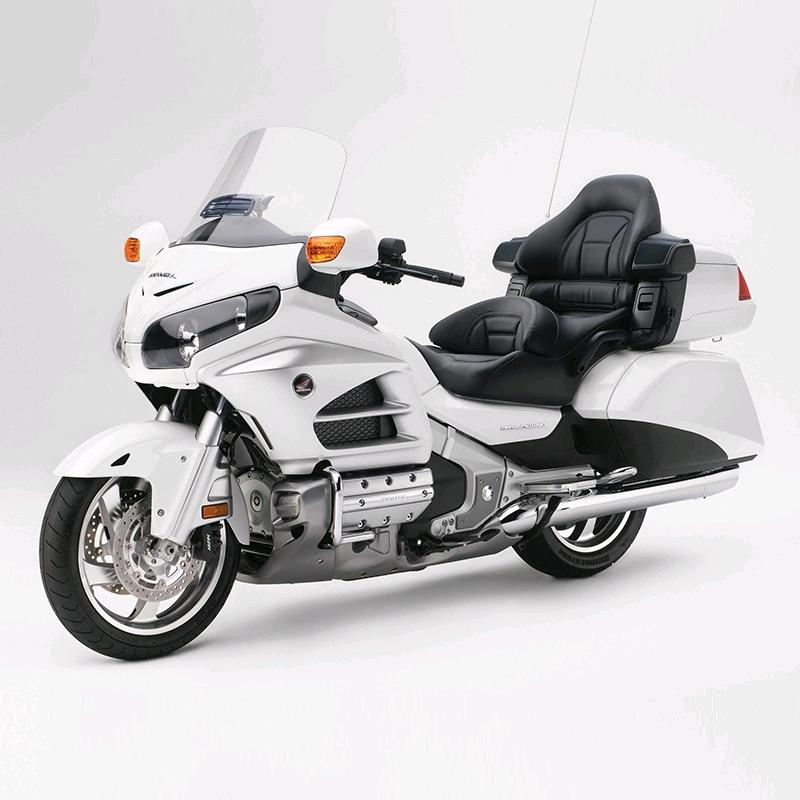 (눈_눈)｢･ω･)｢《权哥