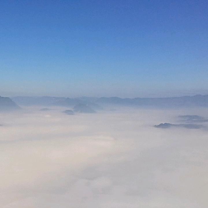 孤独雄鹰坚守初心，，