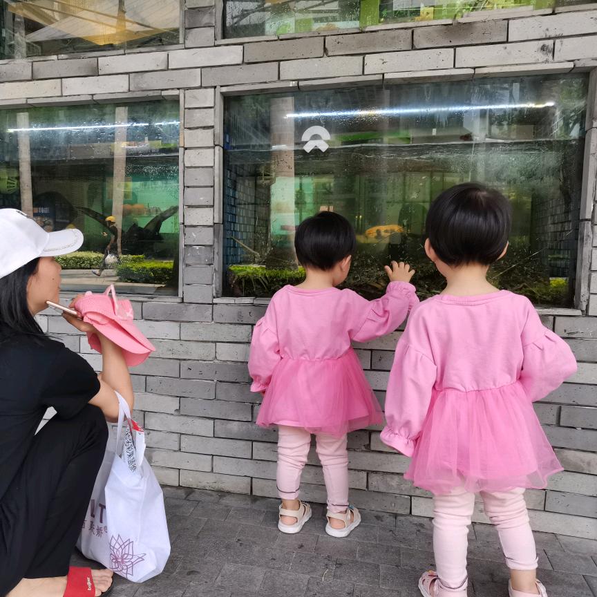 一心一意