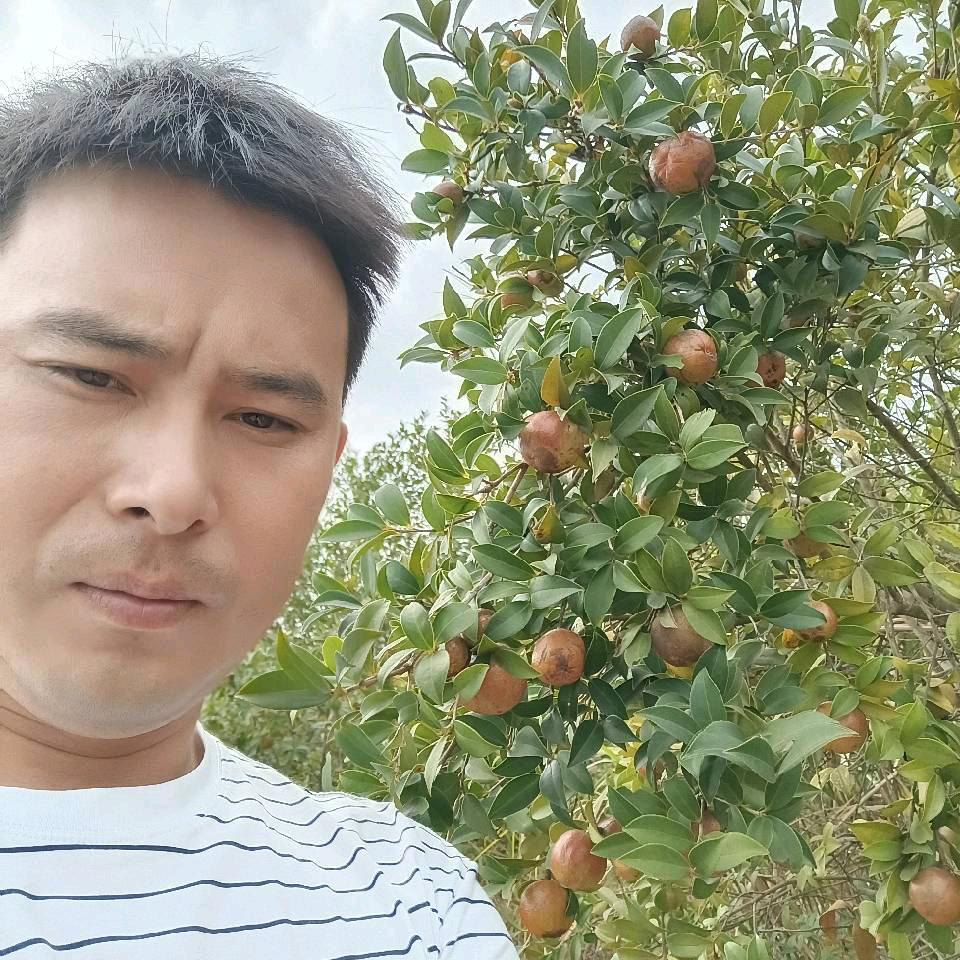 雷绍淦