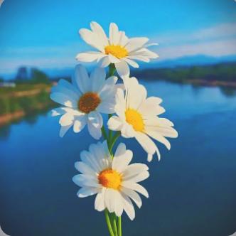 森森