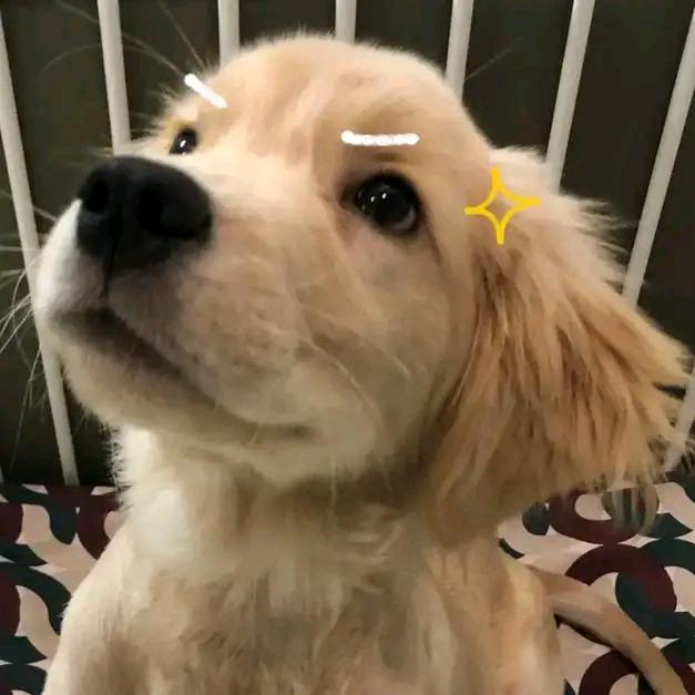 阡陌学子