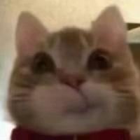 （福娃）