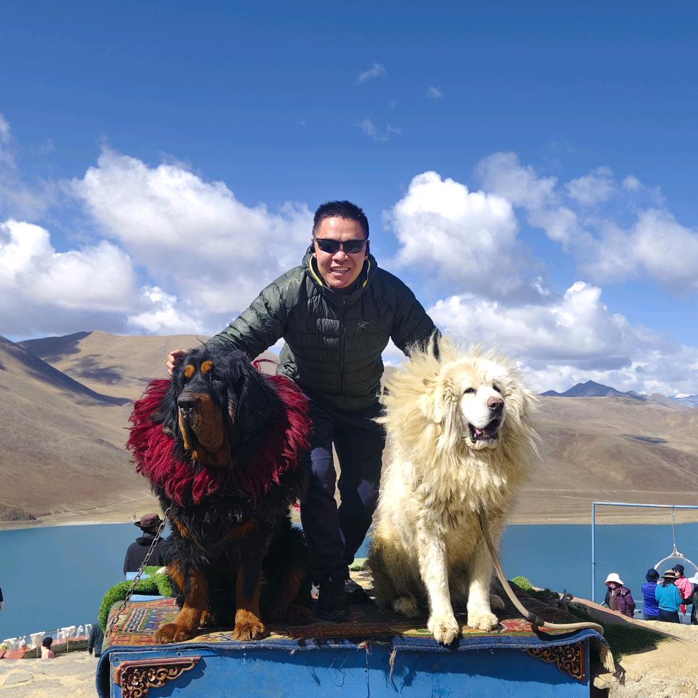 阜阳天涯旅行