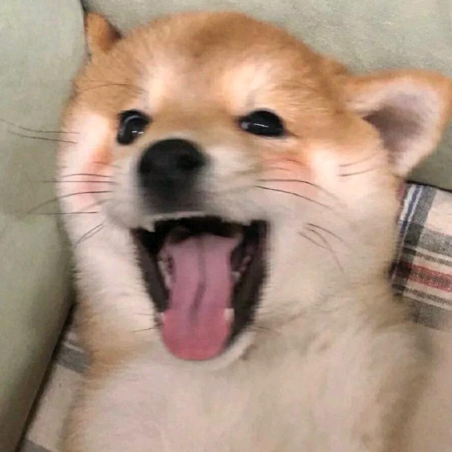 八文鱼