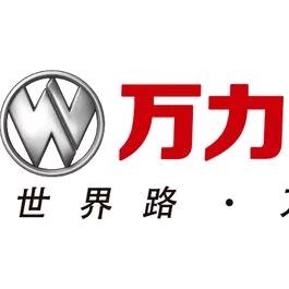 安徽车之轮销售有限公司(万力轮胎)官方号