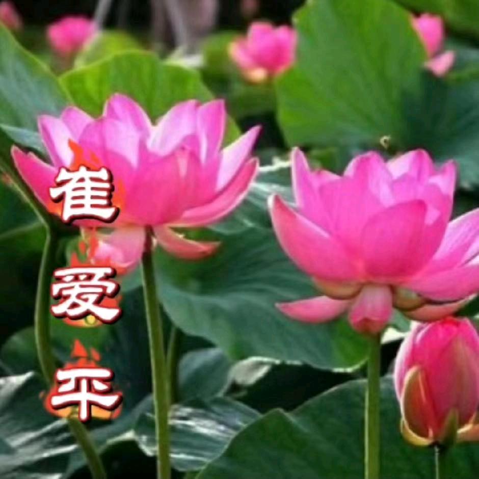 爱你一生一世