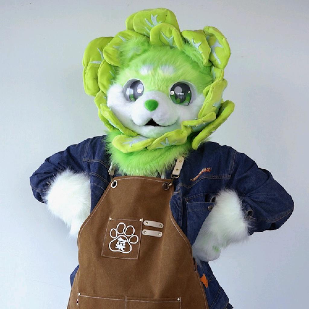 白菜狗（掉毛版）