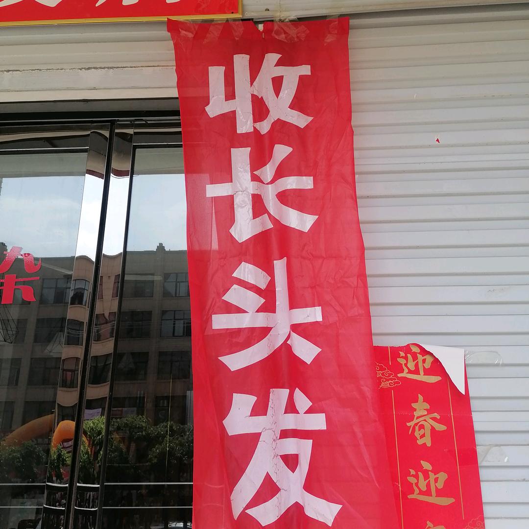 小金猪