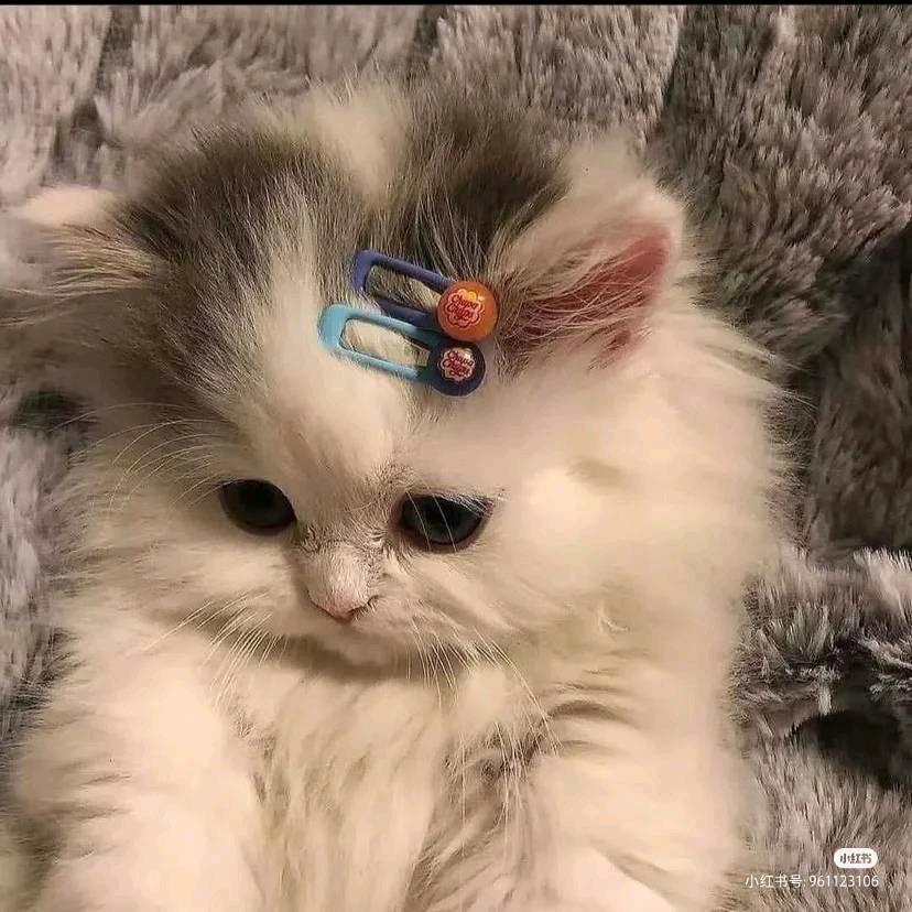 不知道。