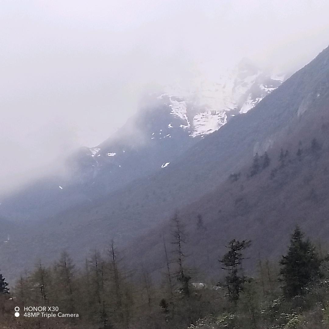 山
