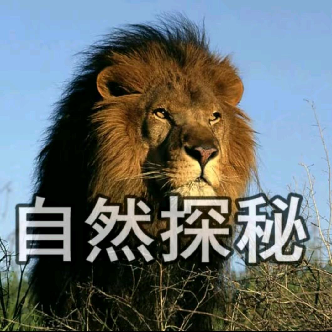 自然探秘