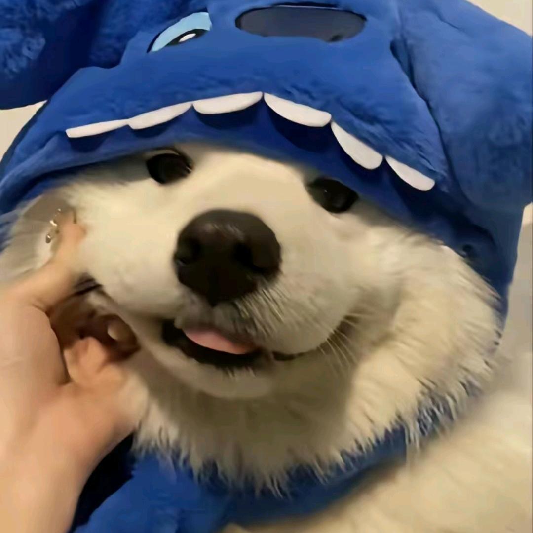 陈皮没皮