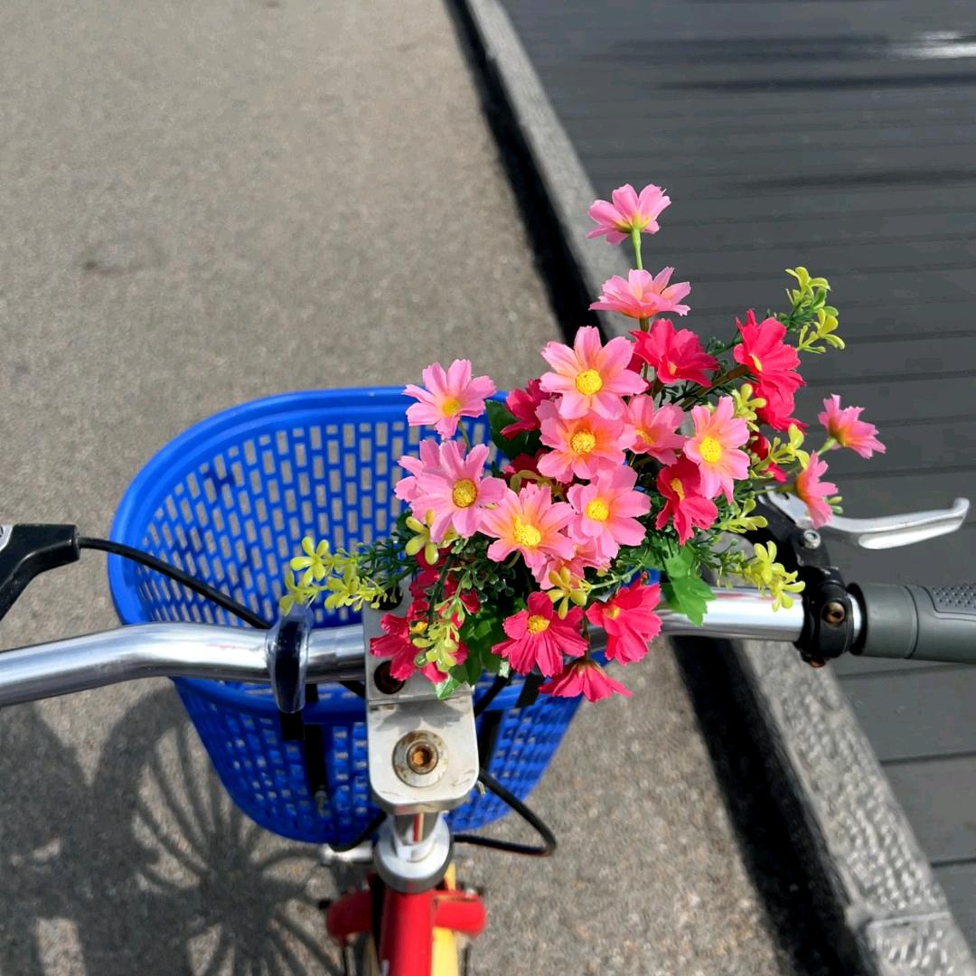 小美好🌺