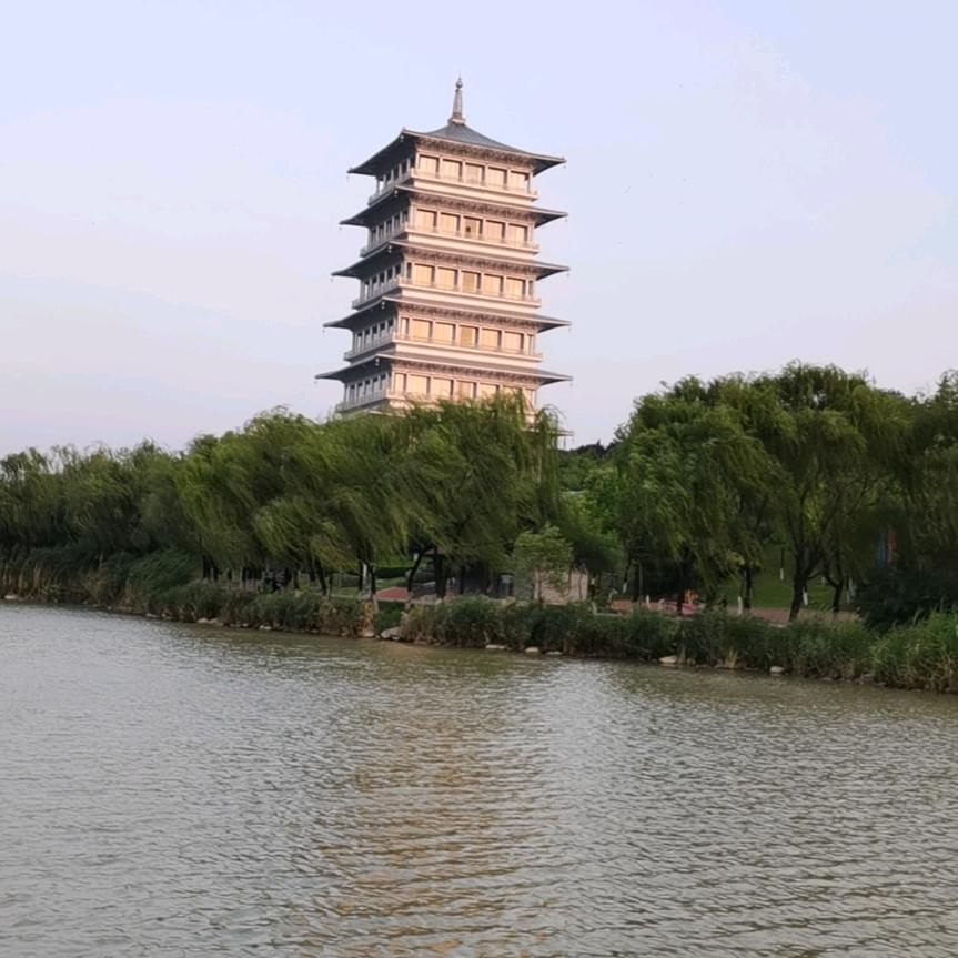 猪猪中的小森林