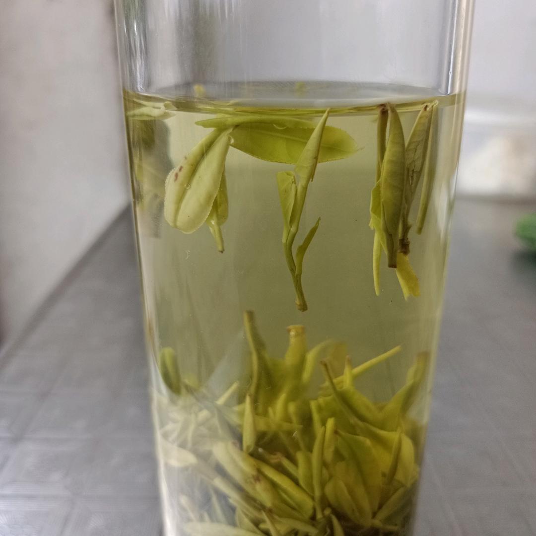 一杯清🍵