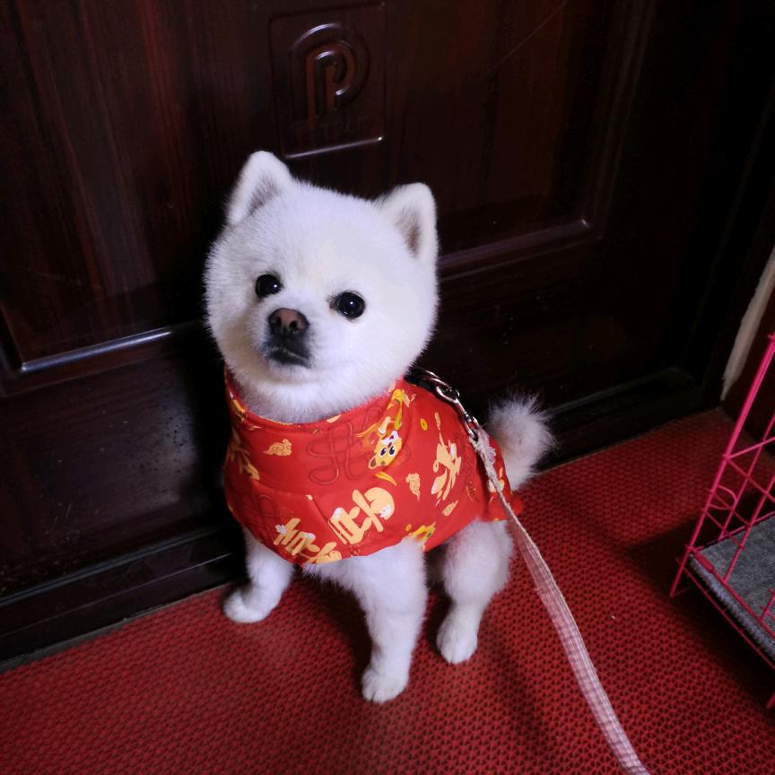 阳光快乐！没心没肺活的快乐😂😂😂