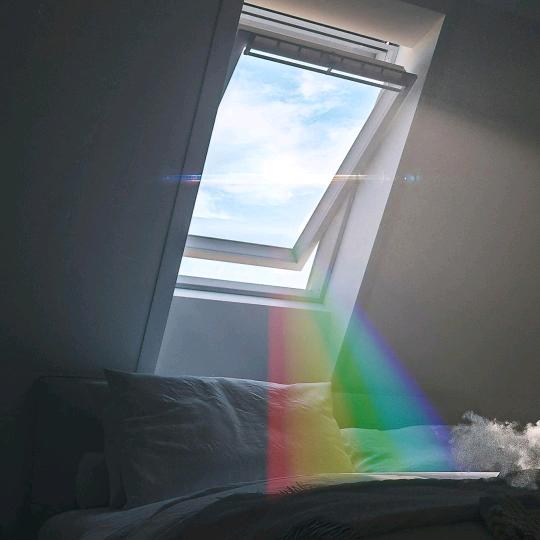 彘癟襯