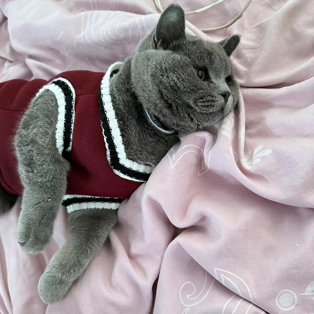 @李铁柱