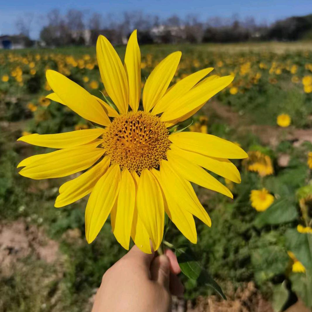 姚妈妈全家健康调理中心