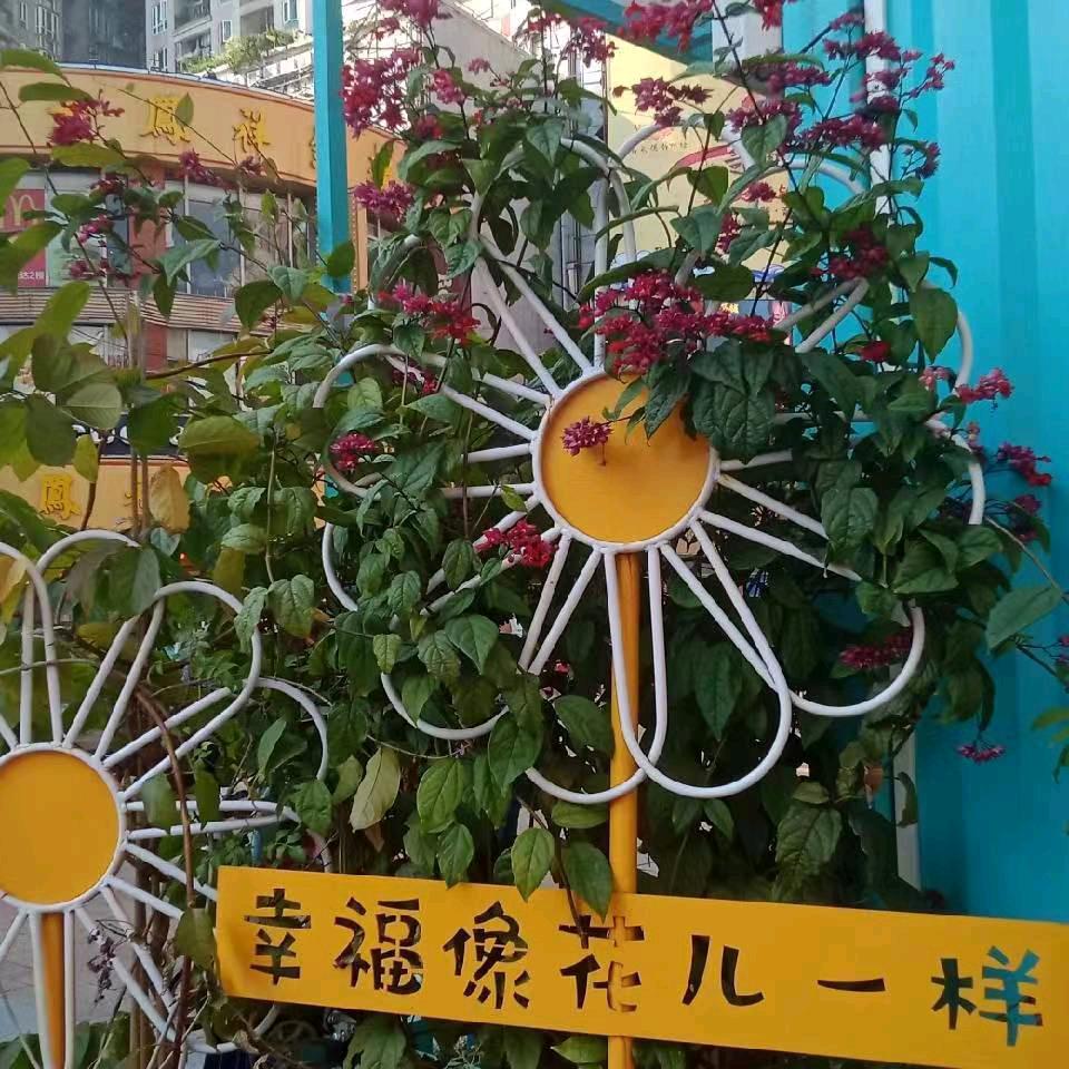 开心果