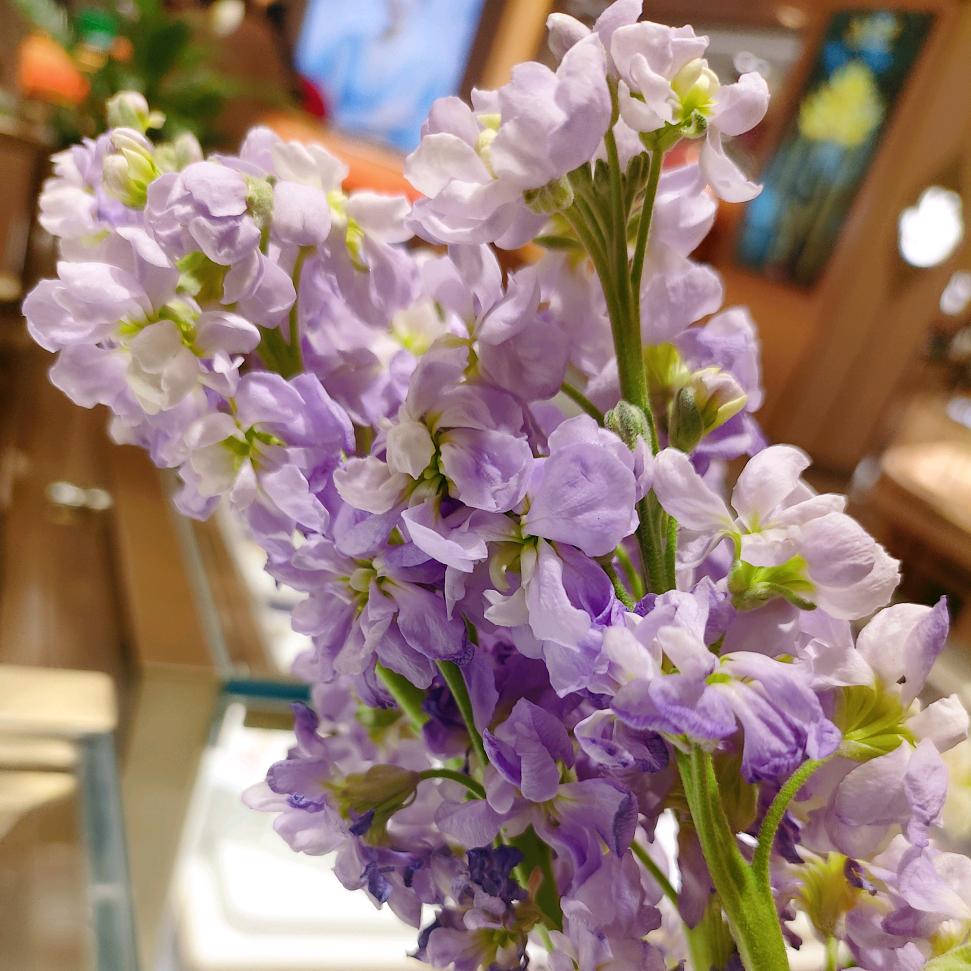 神木鼎尚居装饰王慧霞