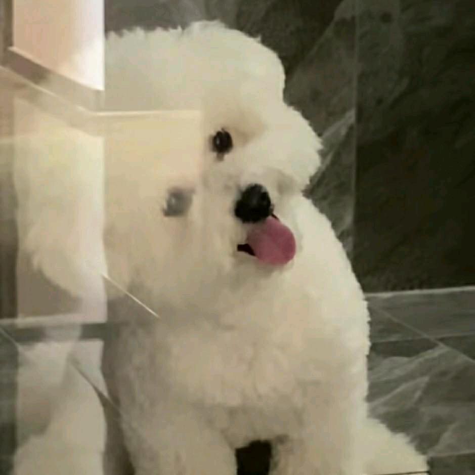 椰米线爱吃锅包肉