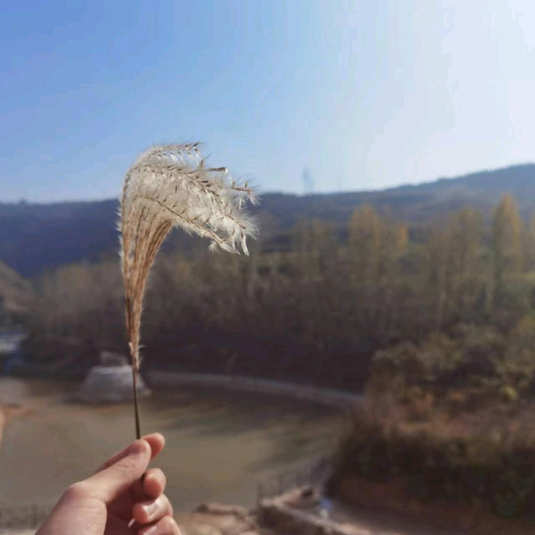 室内设计师  张晓旭