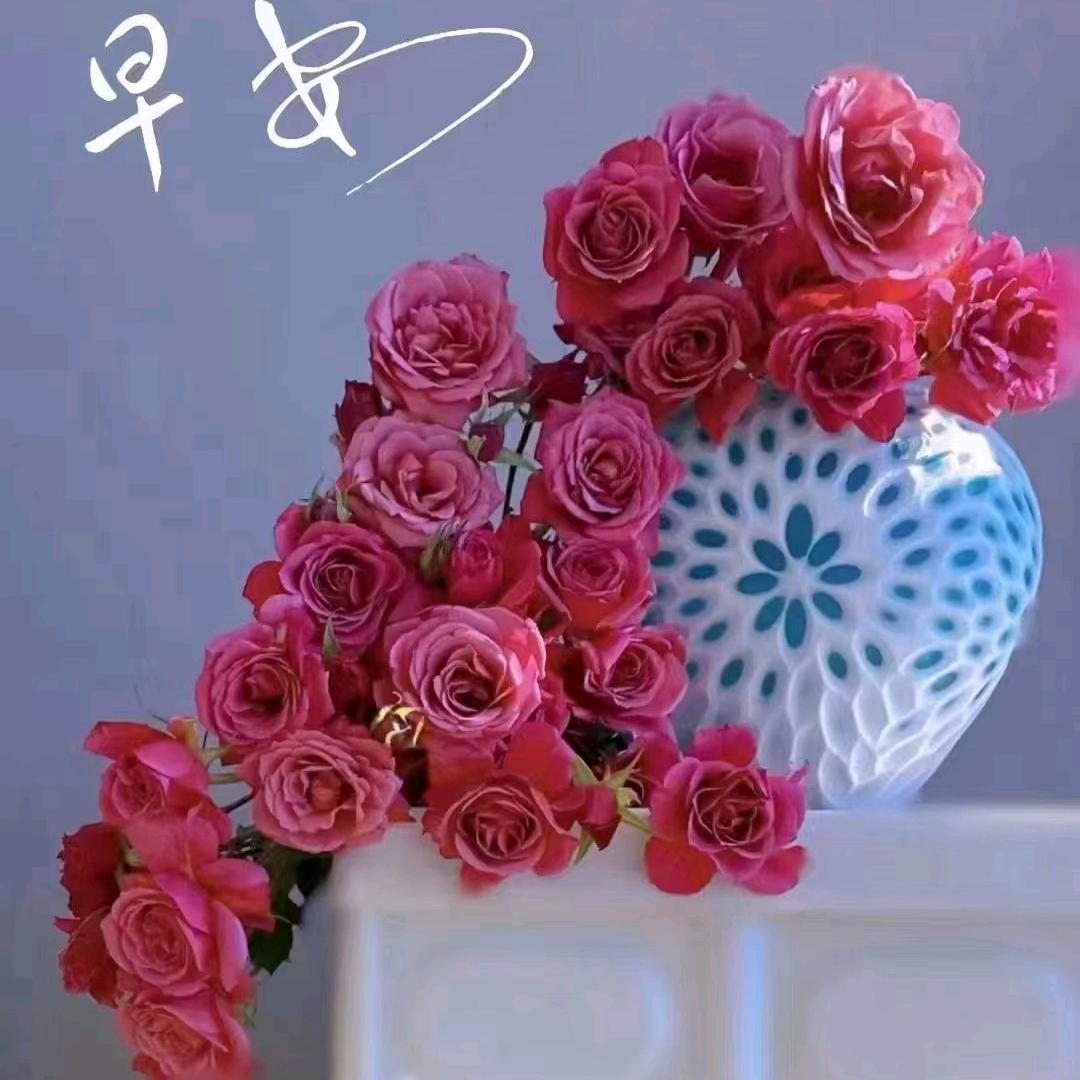 🌸小雪阿姨