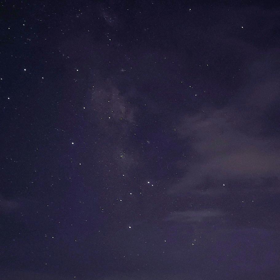 烧火棍戏咪咪鲈