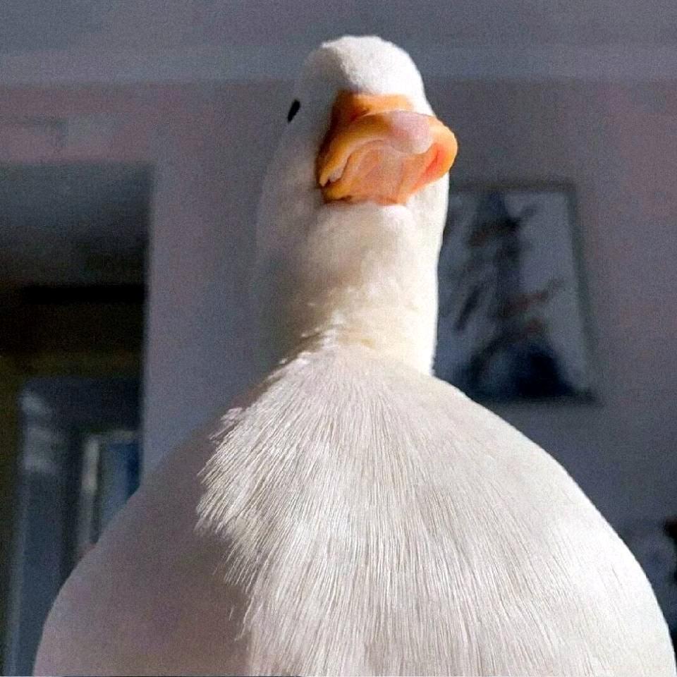 ，，