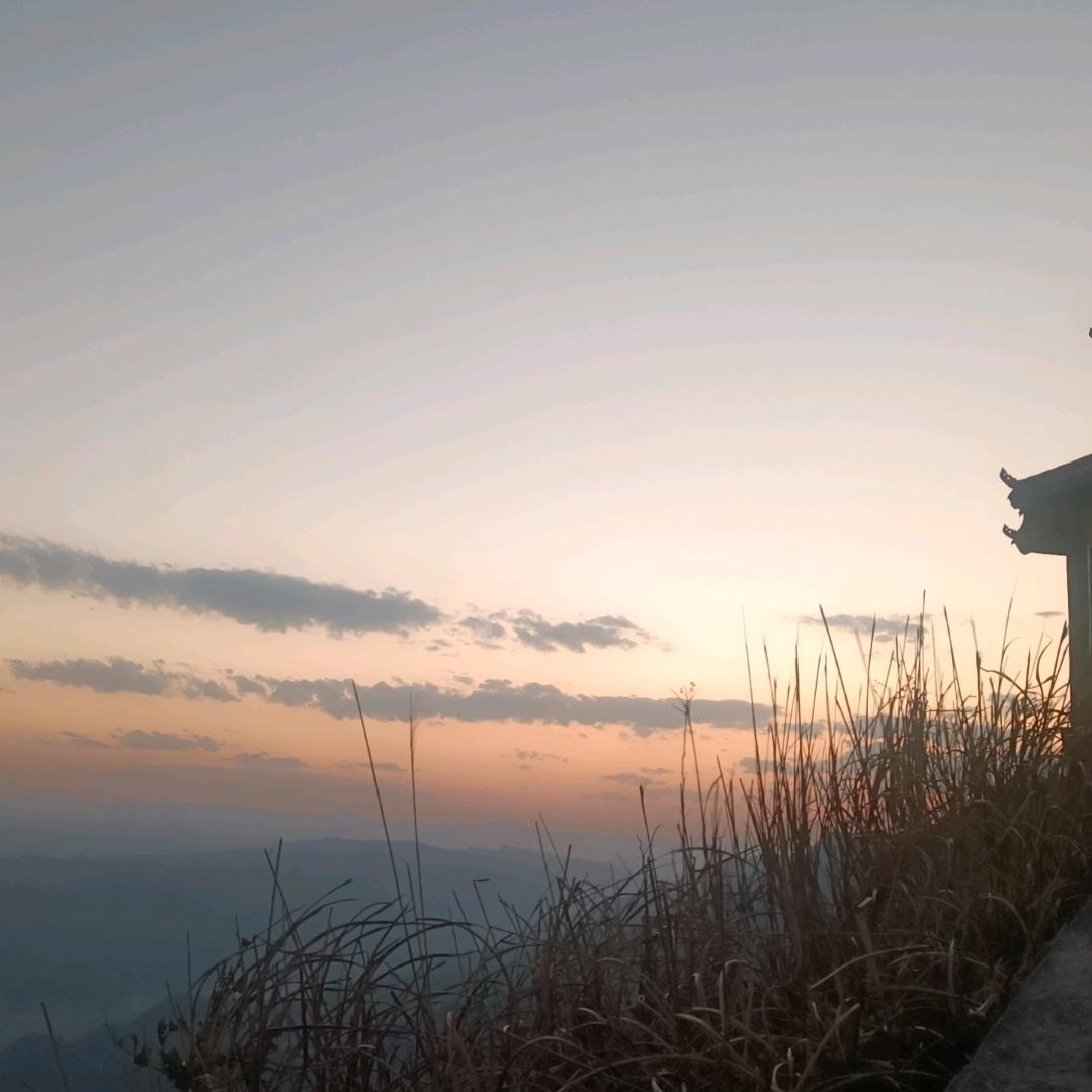 神秘前妻张霄头像