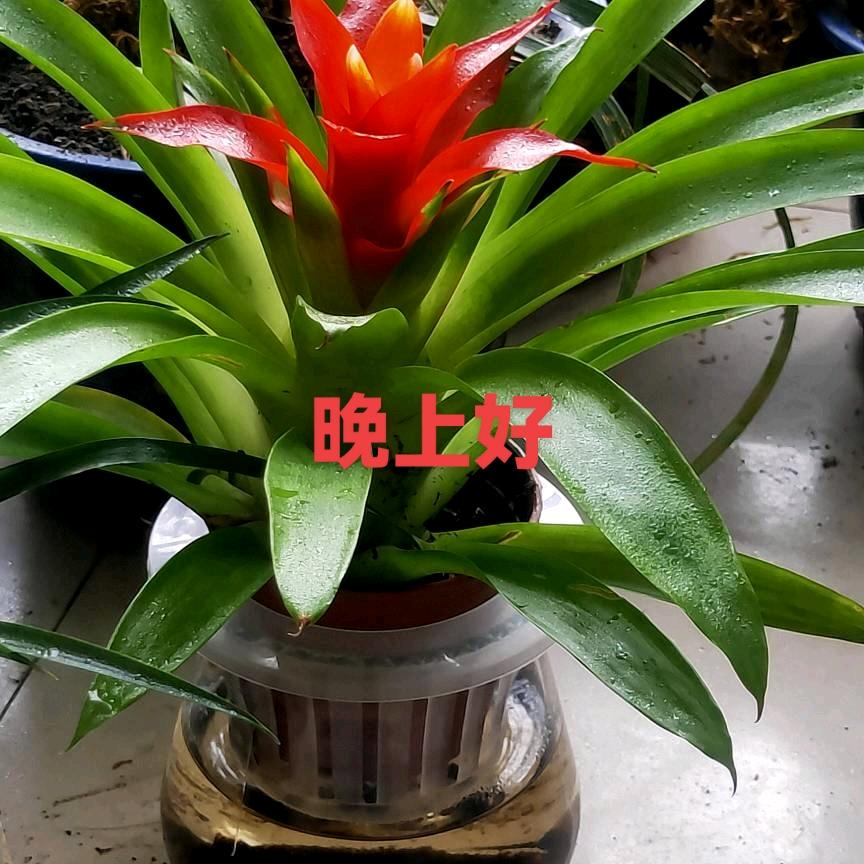 快乐人生