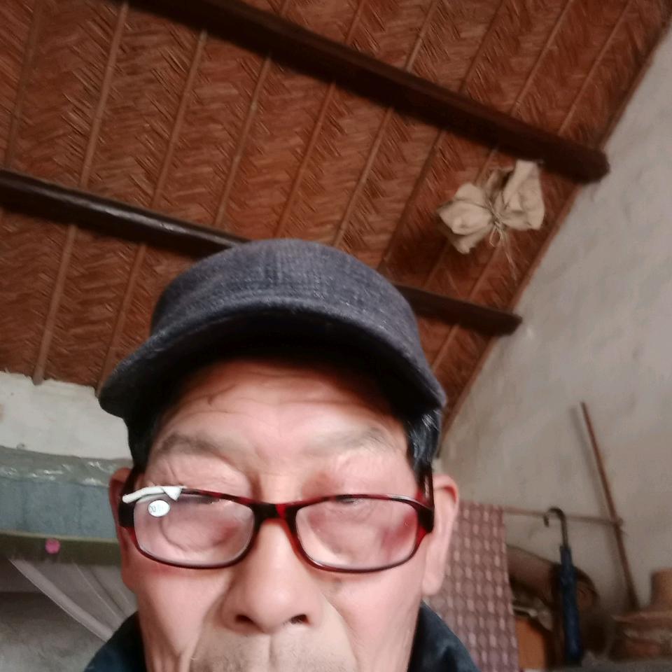 会飞