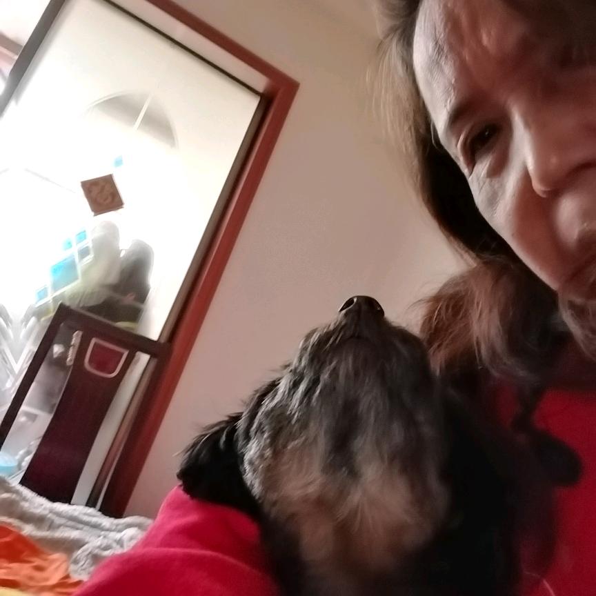 王妃