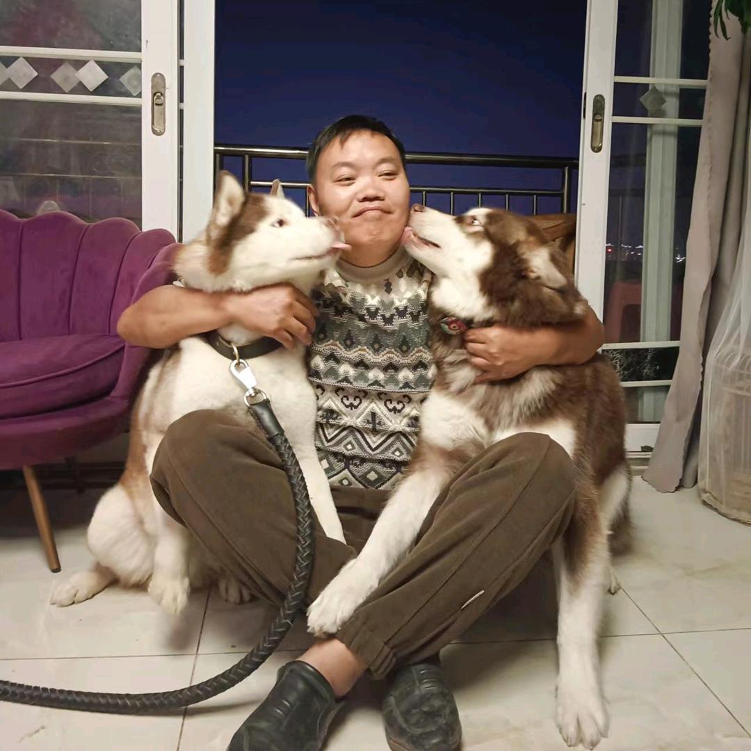 高哥哥犬舍