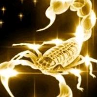 孝义市益欣源蝎子养殖有限责任公司