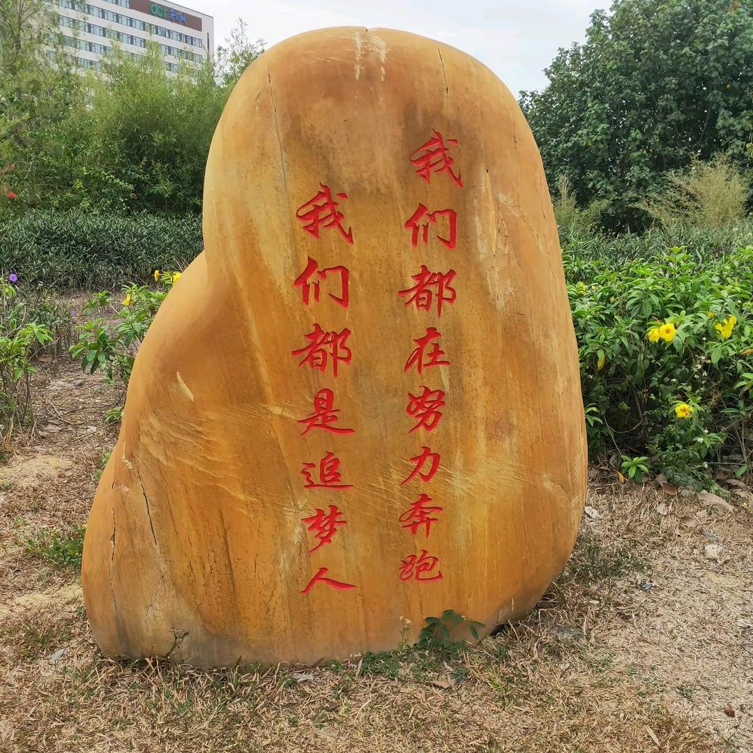 搏宇涵轩