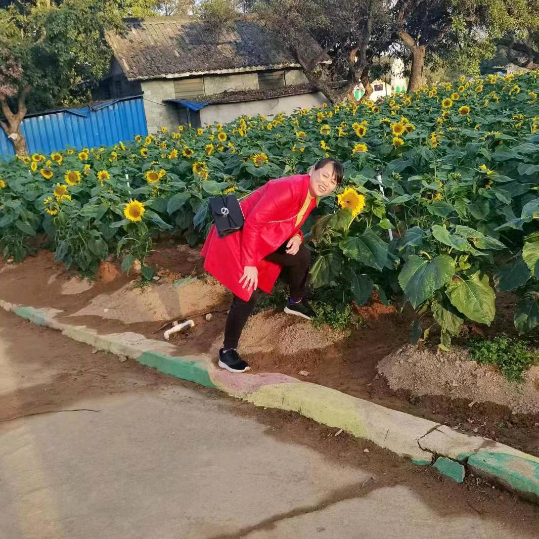 潇洒姐   短视频剪辑
