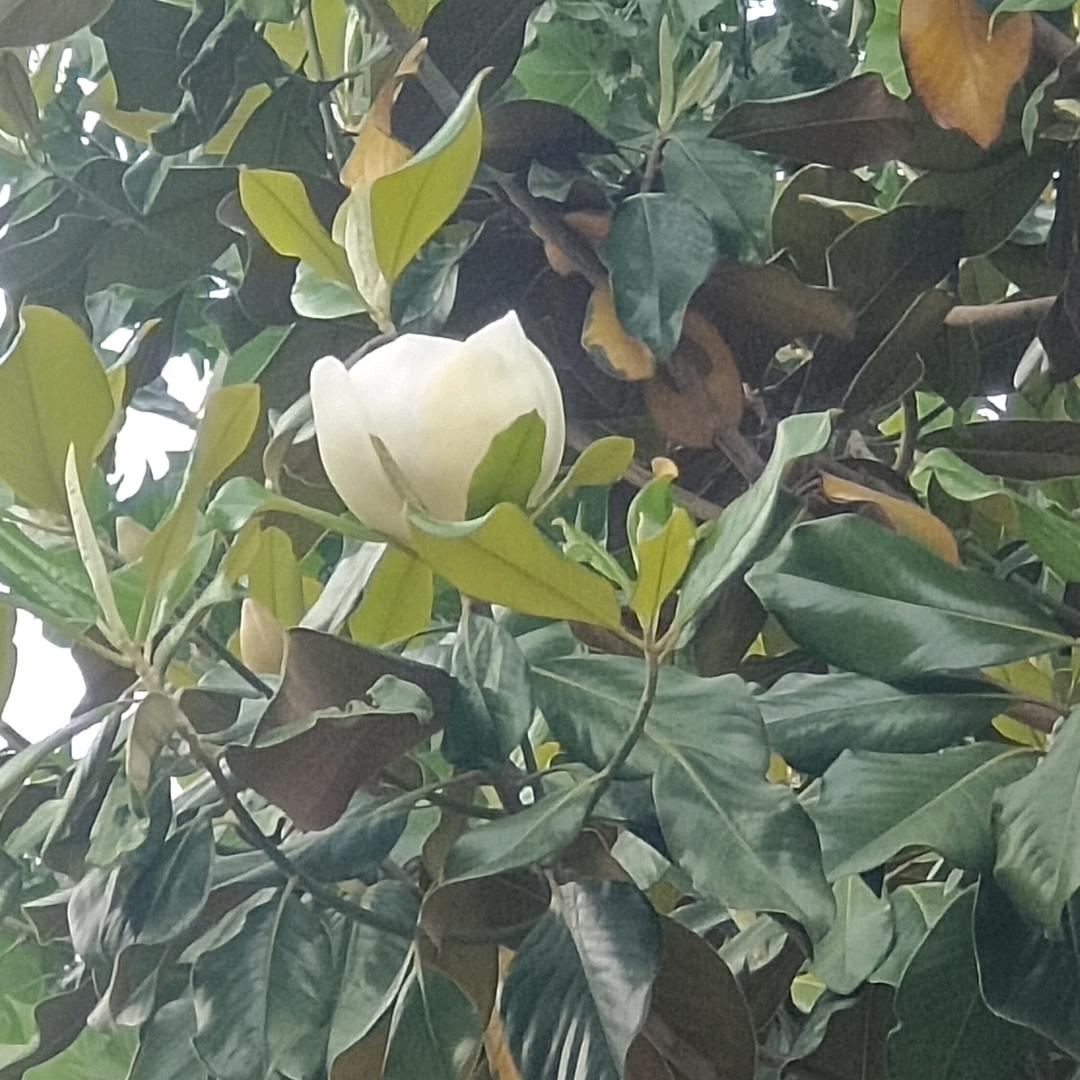 忘不掉的回忆