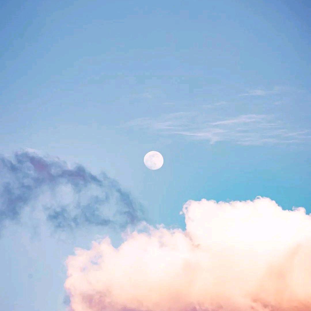 顾玖T