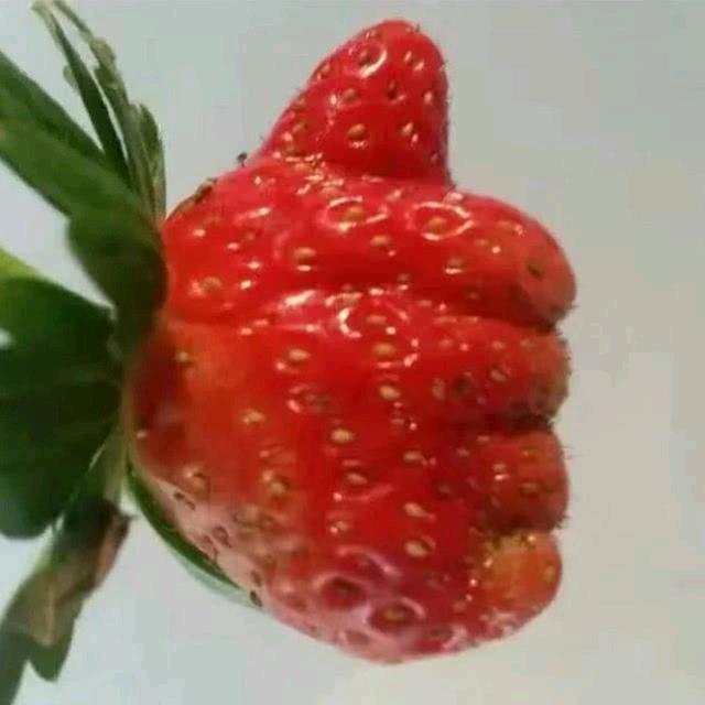 买买买菜头像